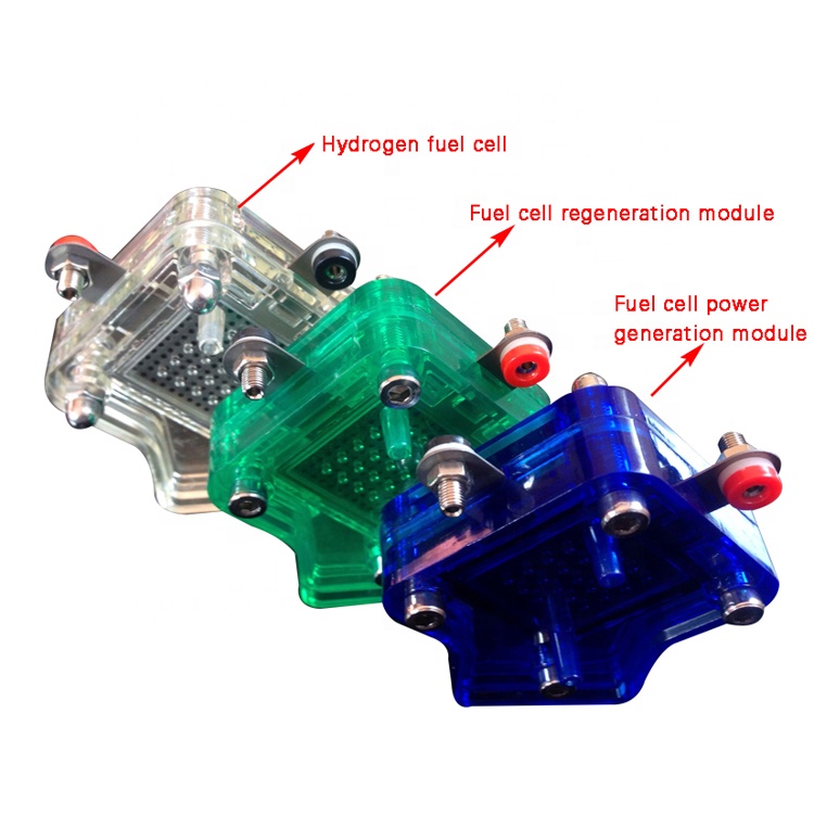 Pem Hydrogen Generator Electrolyzer For Vet